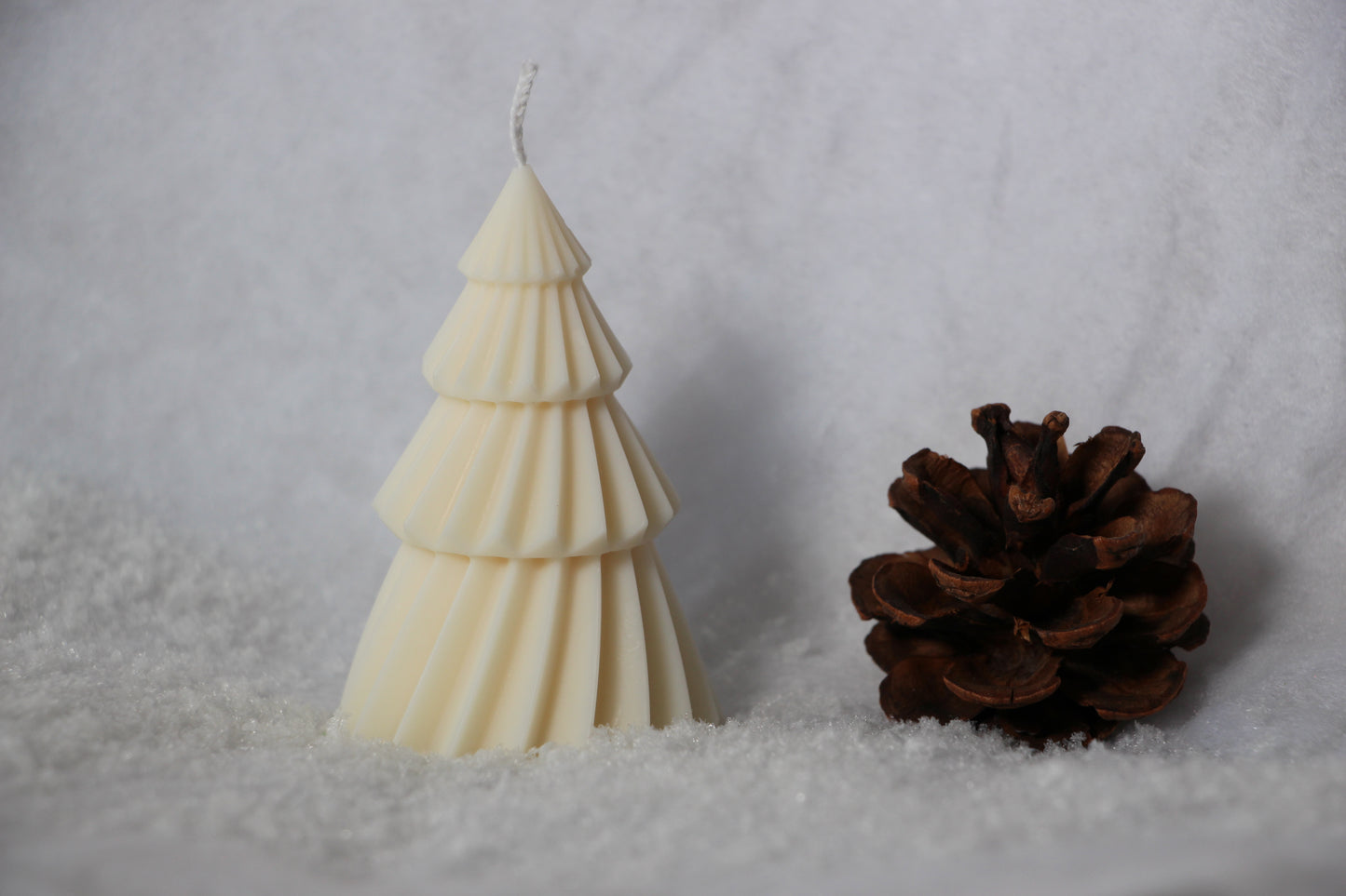 Sapin Blanc - Brille & Scintille