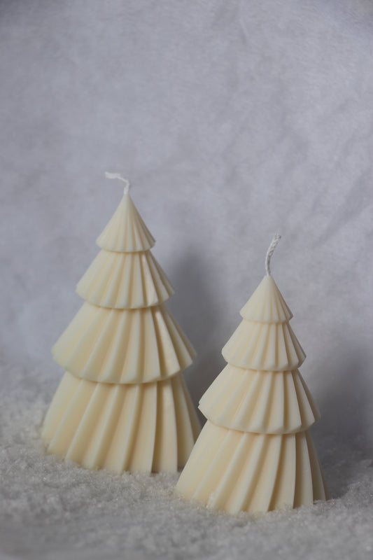 Sapin Blanc - Brille & Scintille